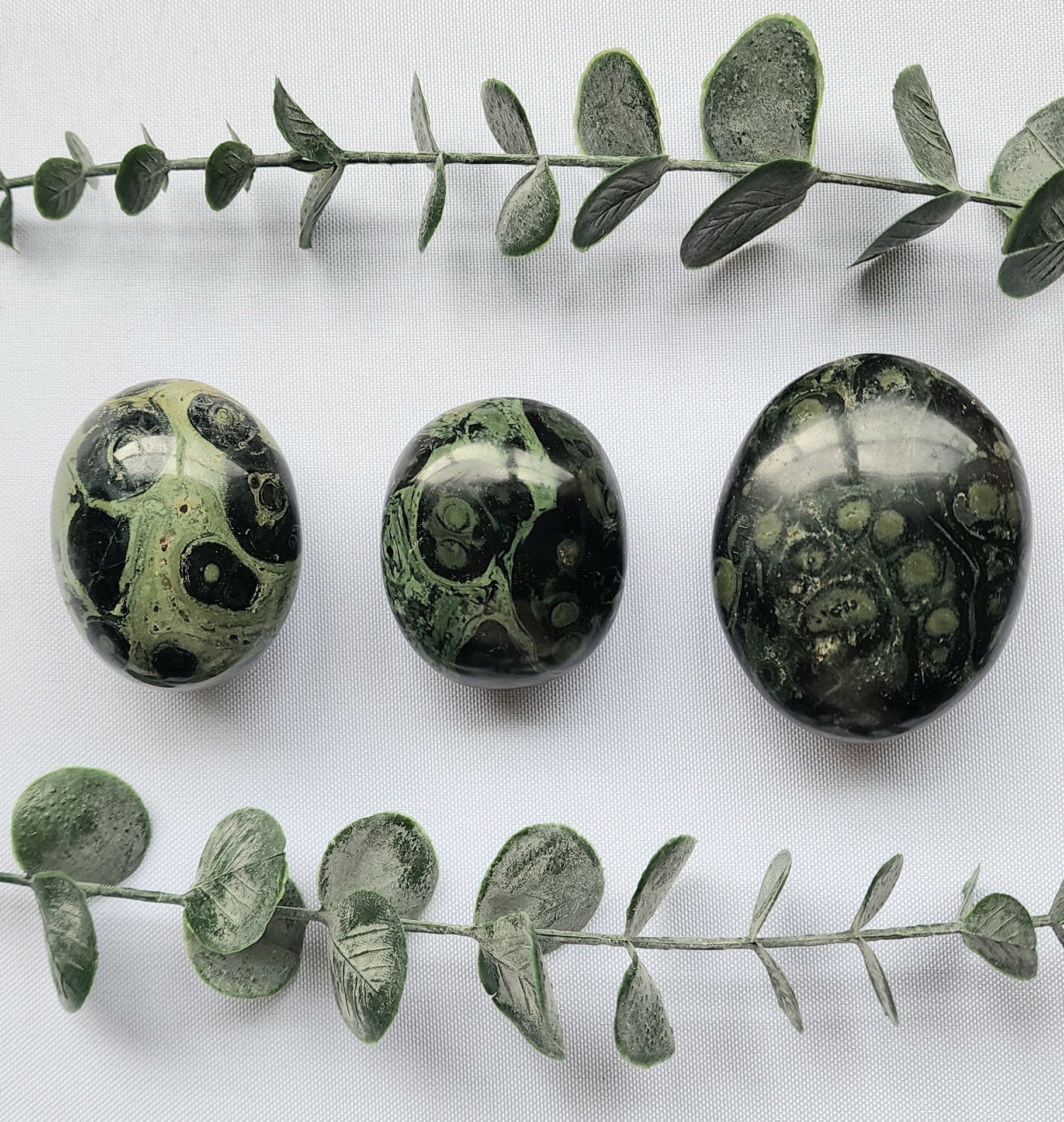 Kambaba Jasper Palm Stones