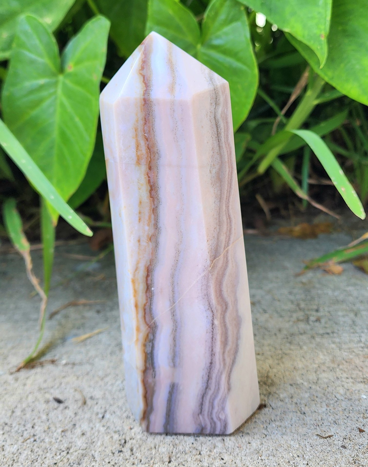 Sea Jasper Tower #8