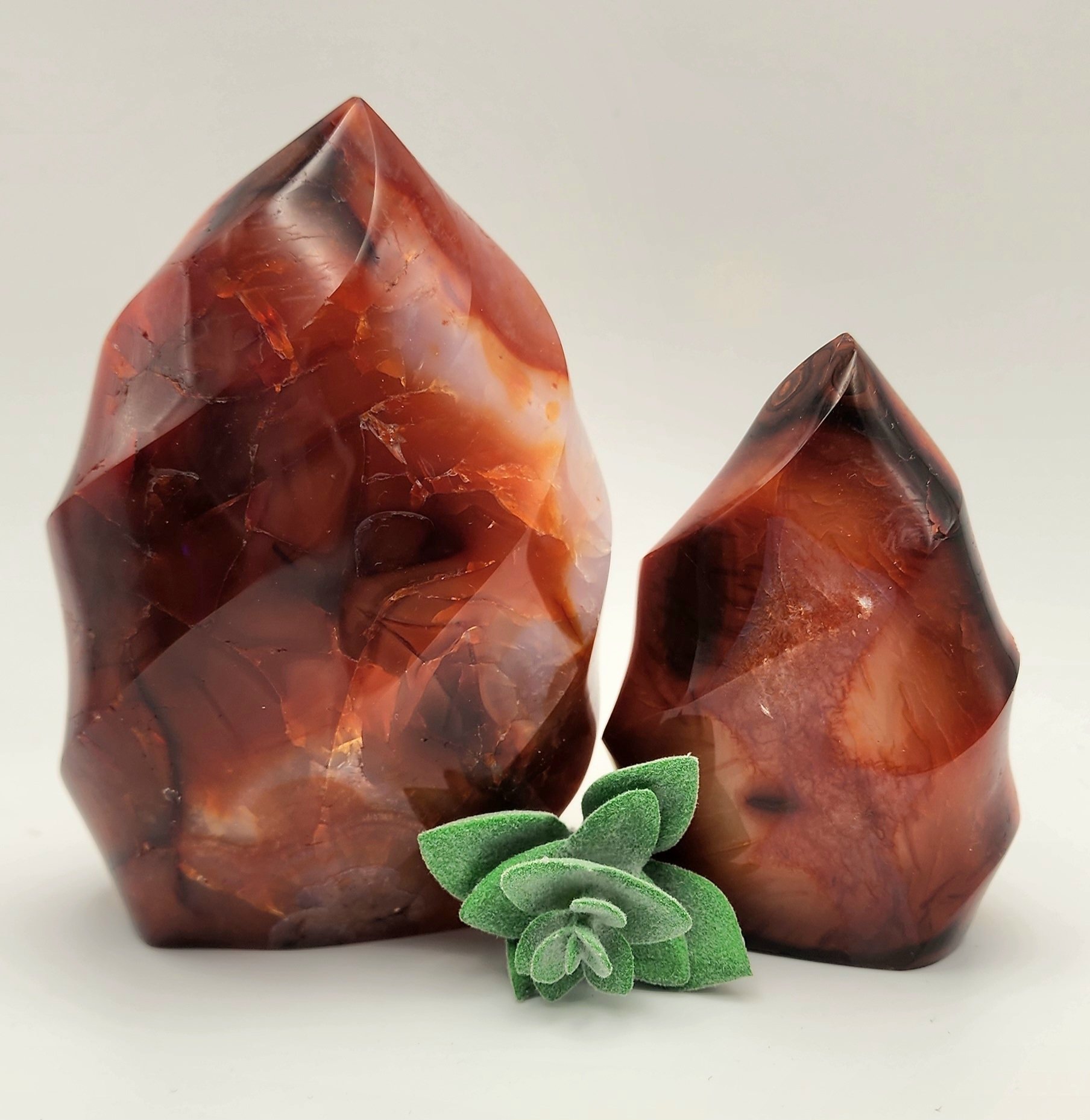 Carnelian Flames