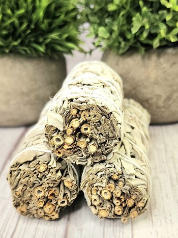 White Sage Bundles
