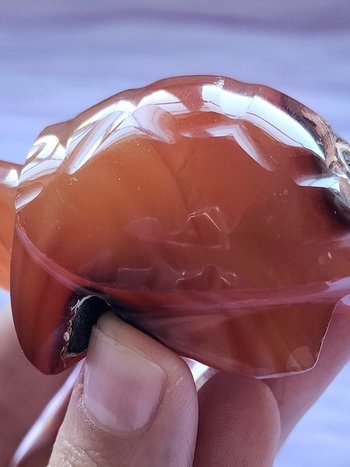 Carnelian Turtle Carving #4