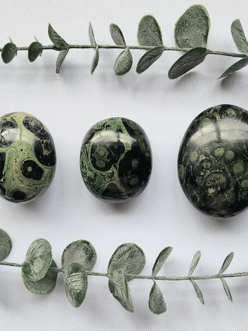 Kambaba Jasper Palm Stones