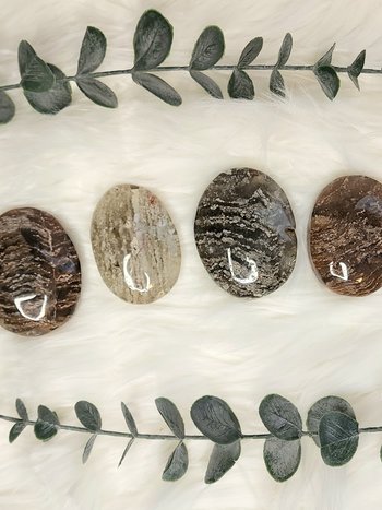 Lodolite/Garden Quartz Palm Stones