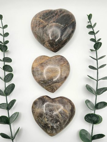 Flashy Black Moonstone Hearts