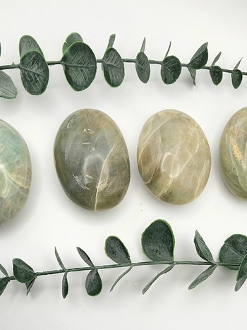 Green Moonstone Palms