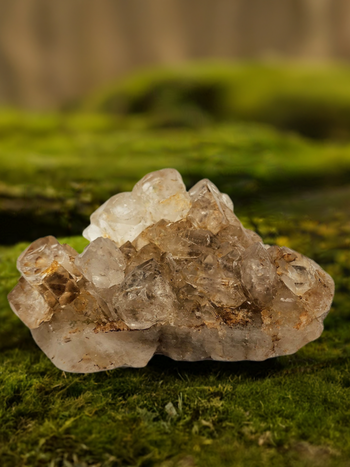 Golden Healer Cluster
