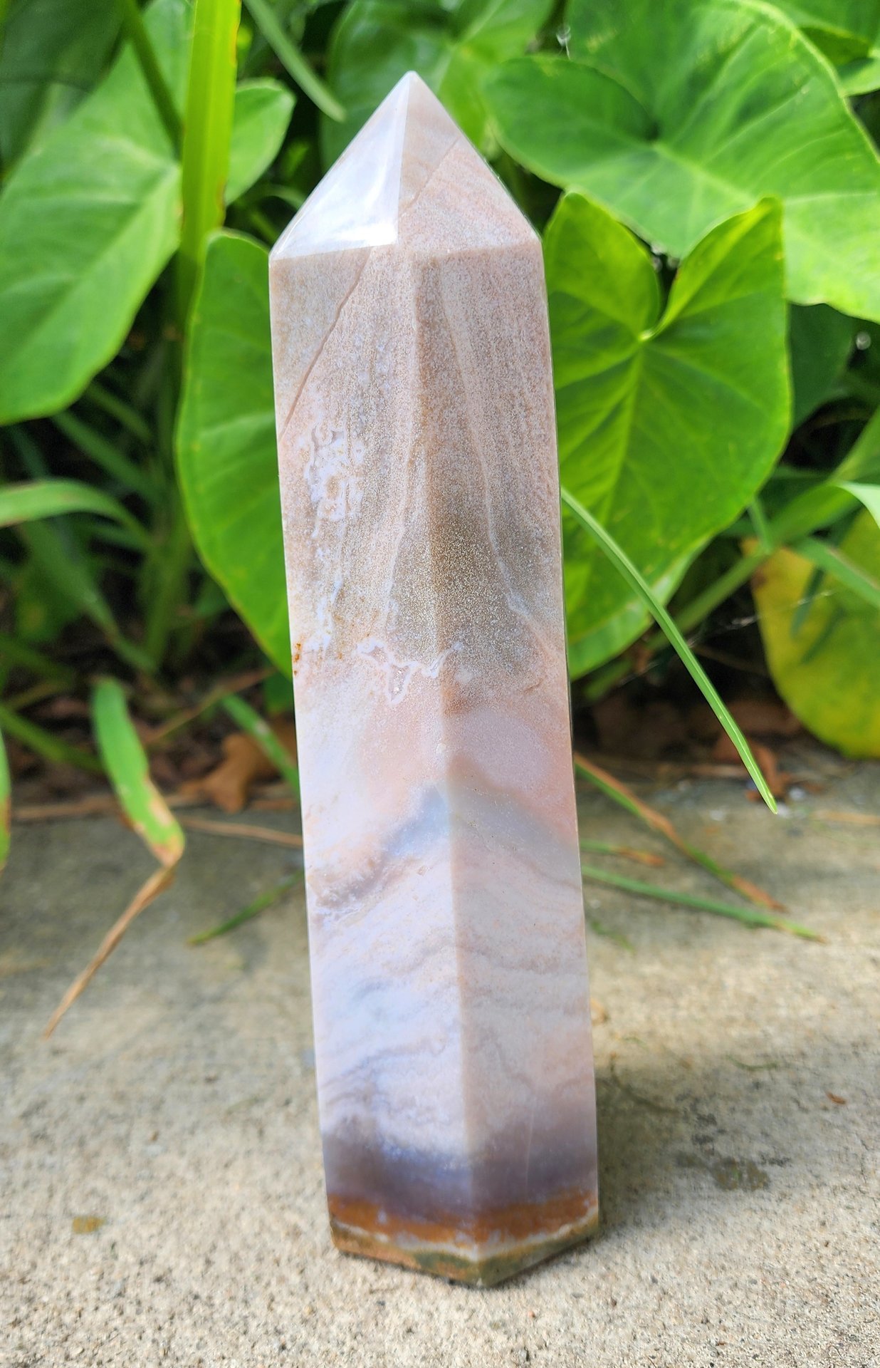Sea Jasper Tower #7