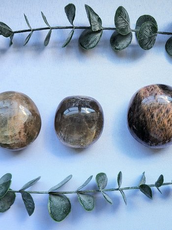 Black Moonstone Palm Stone