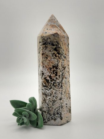 Ocean Jasper Point