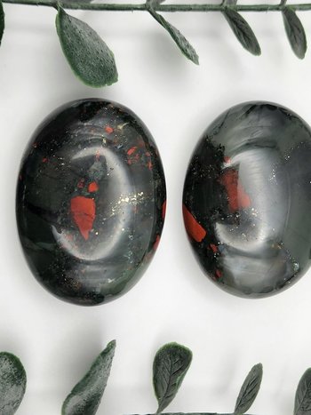African Bloodstone Palms
