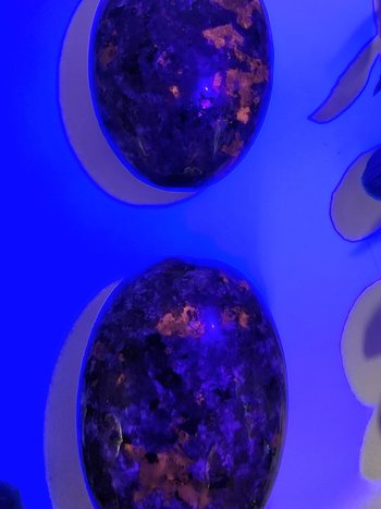 UV Reactive Yooperlite Palm Stones